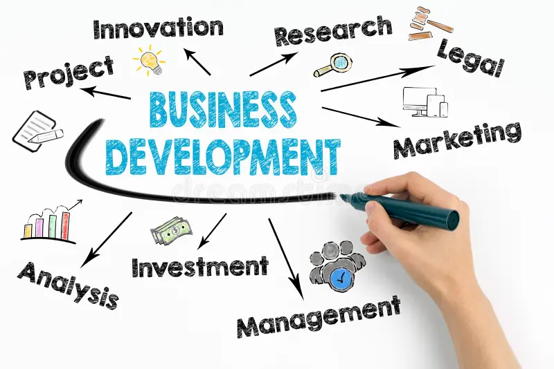 Business Analysis